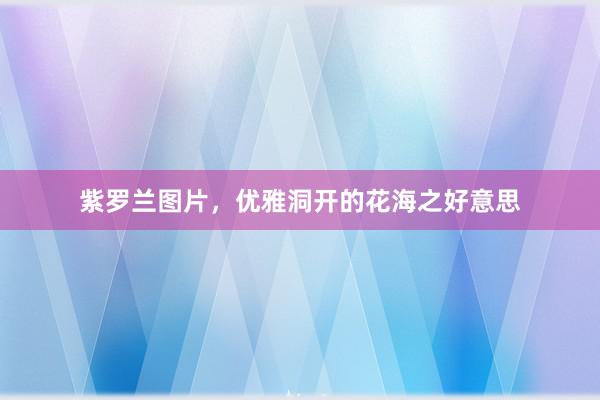 紫罗兰图片，优雅洞开的花海之好意思