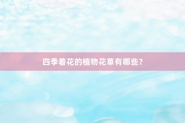 四季着花的植物花草有哪些？