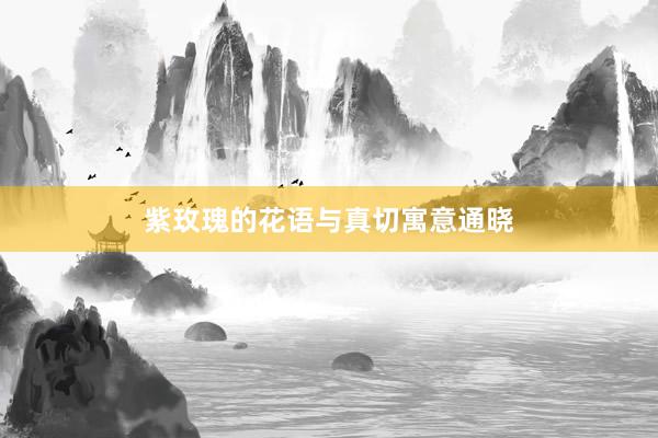 紫玫瑰的花语与真切寓意通晓