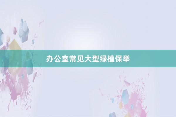 办公室常见大型绿植保举